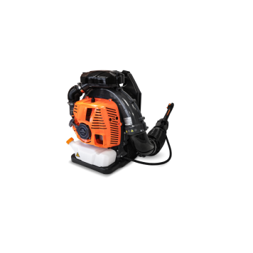 BX 800